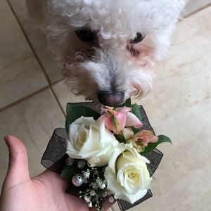 Meet your Posher, Faith